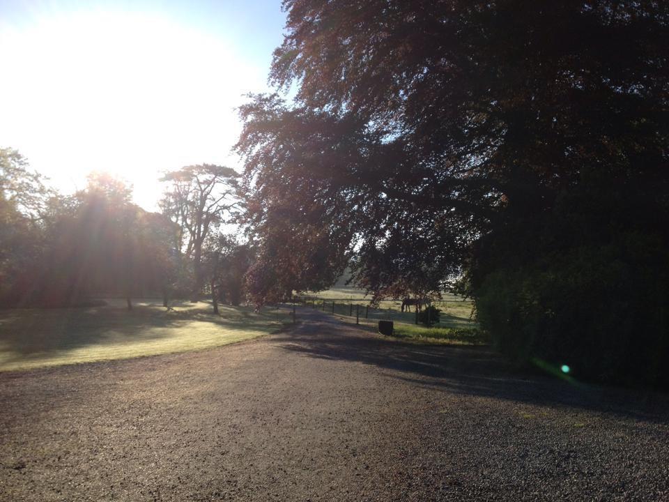 Pensjonat Clonacody House Clonmel Zewnętrze zdjęcie